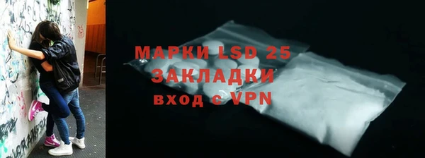 ГАЛЛЮЦИНОГЕННЫЕ ГРИБЫ Арсеньев