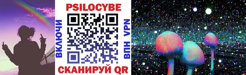 Псилоцибиновые грибы Cubensis  Пыталово 